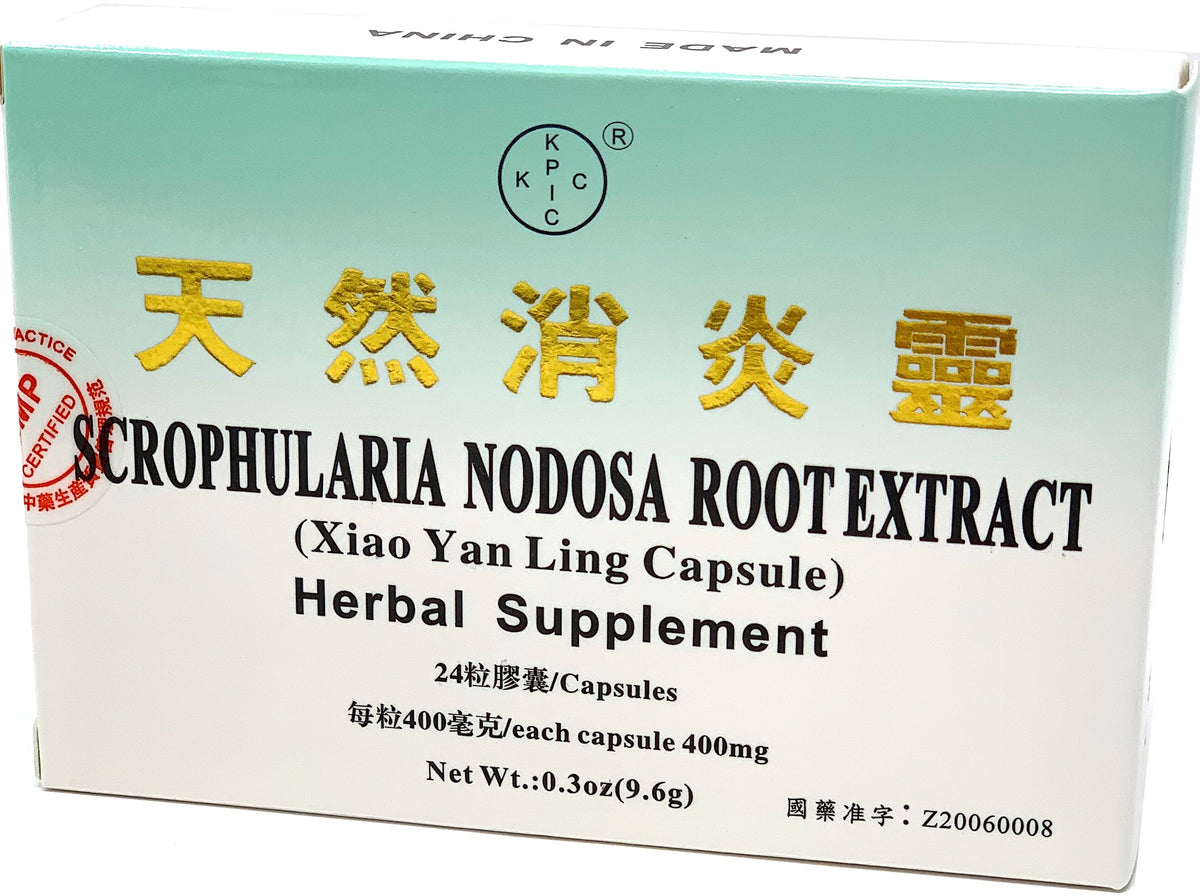 Scrophularia Nodosa Root Extract (Xiao Yan Ling Capsule)
